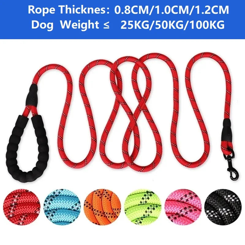 Dog Leash