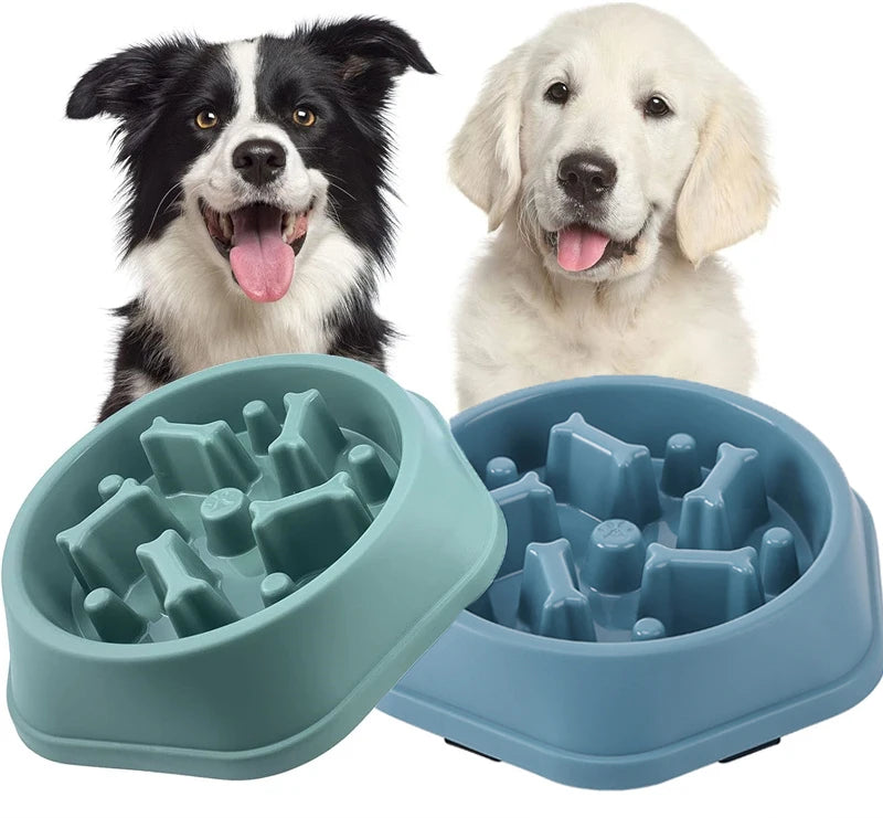 Slow feeder pet bowl