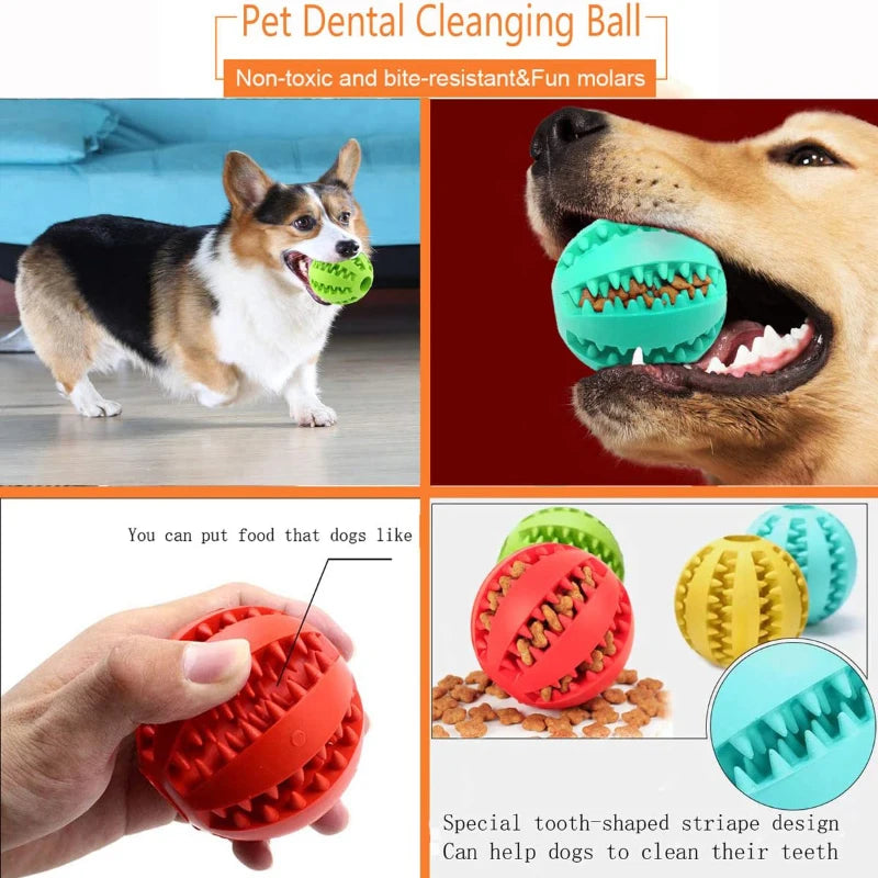 Dog Feeding Ball