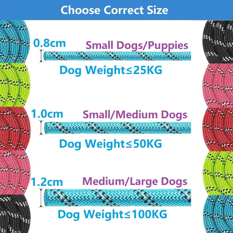Dog Leash