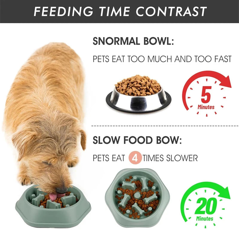 Slow feeder pet bowl