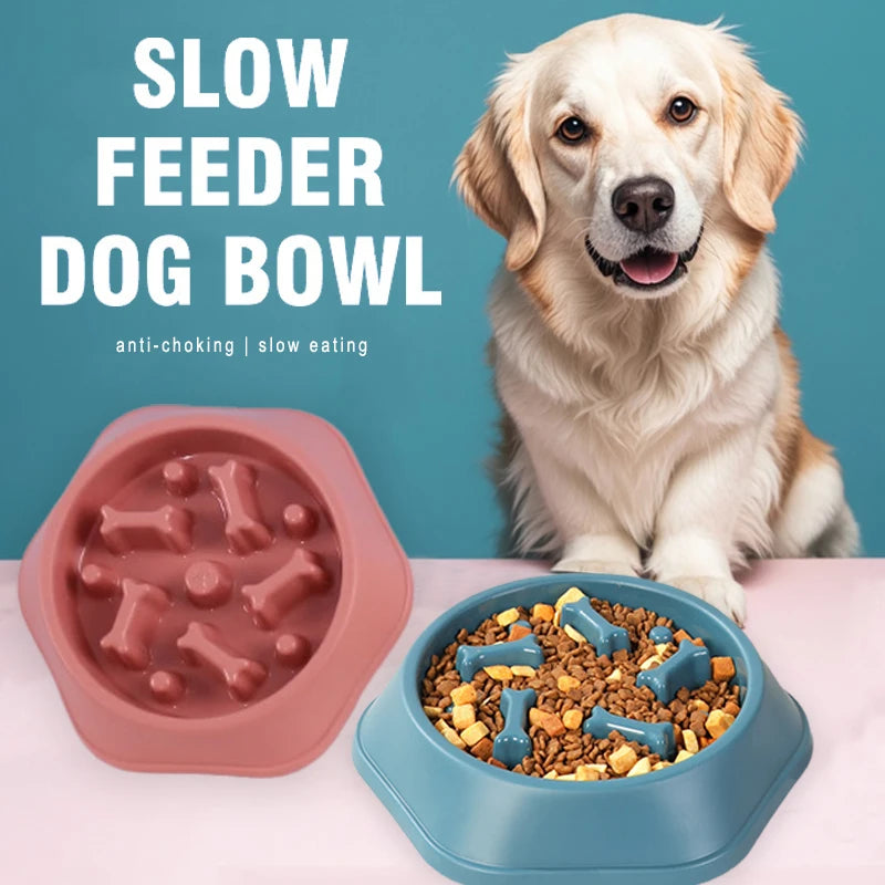Slow feeder pet bowl