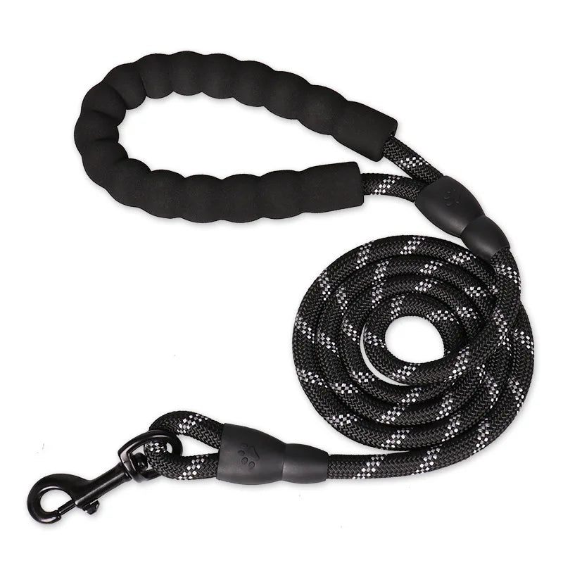 Dog Leash