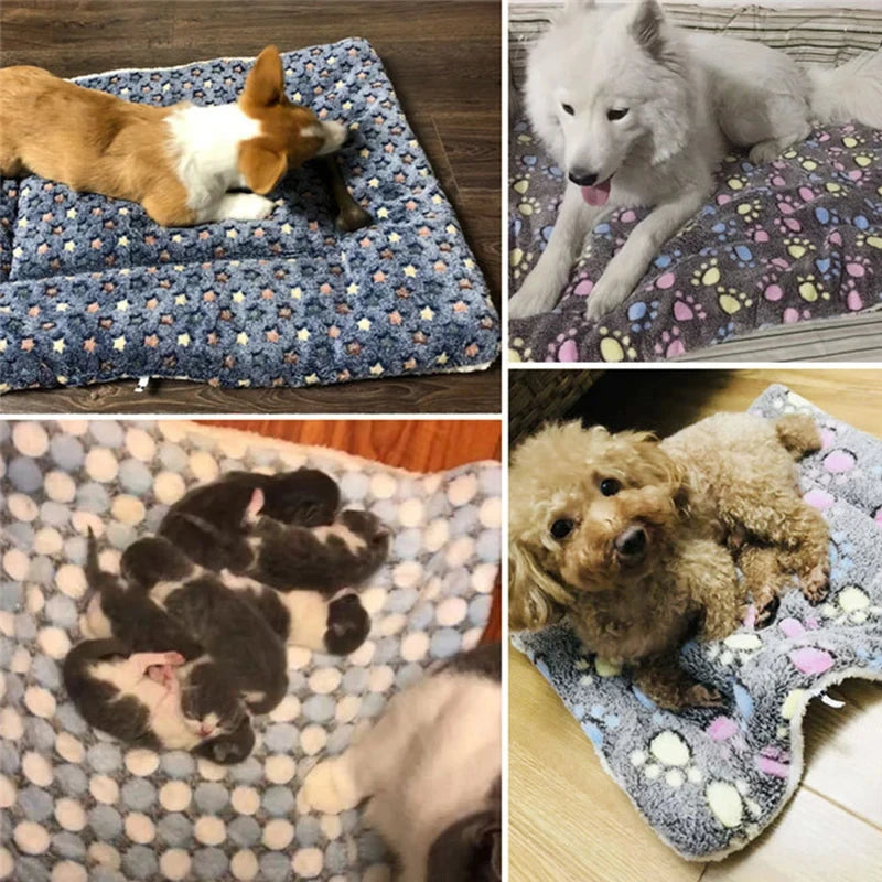Pet mat