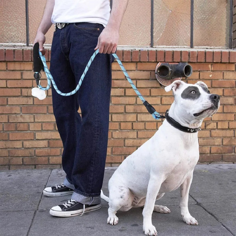 Dog Leash
