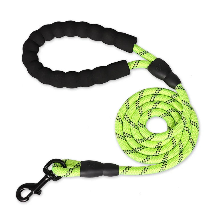 Dog Leash