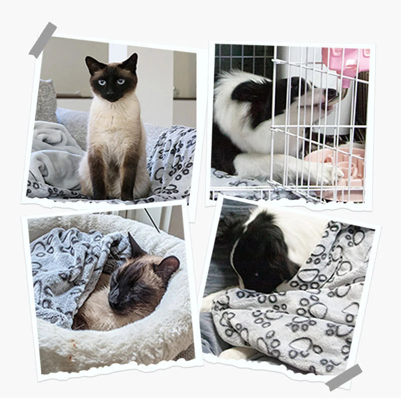 Pet Blanket