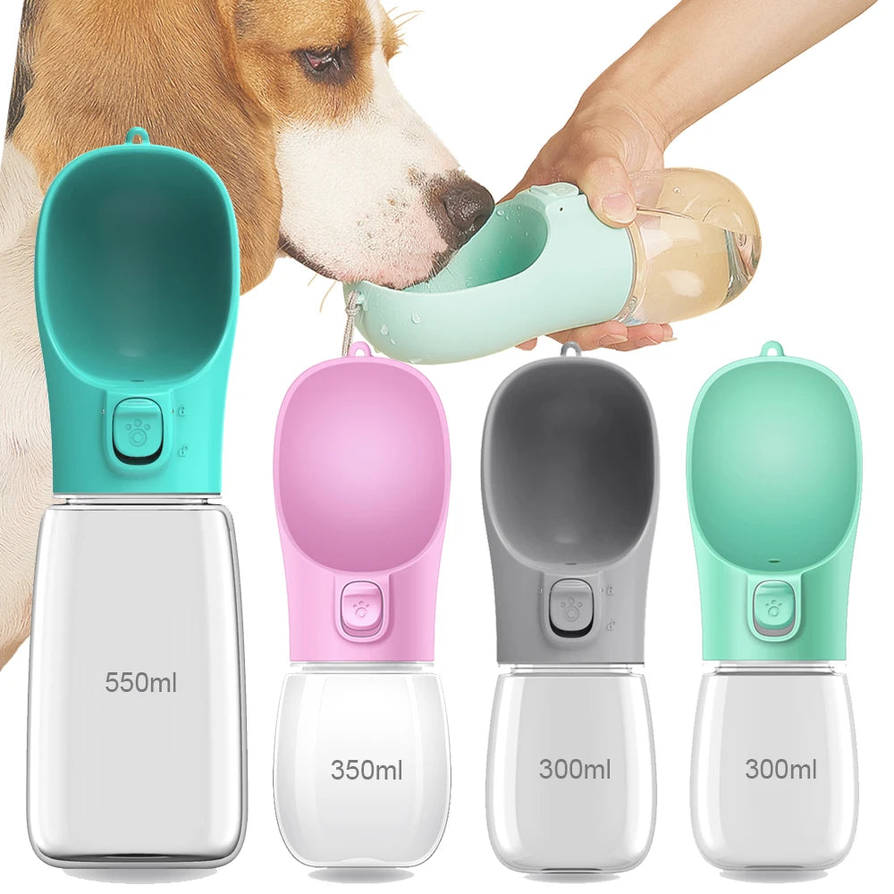 Pet Water Bottle