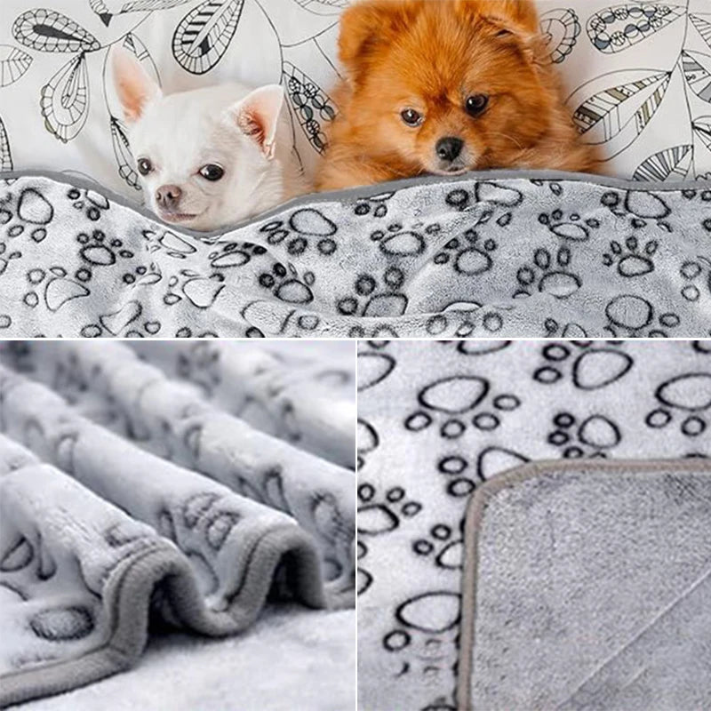 Pet Blanket