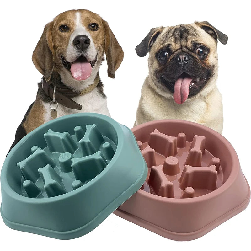 Slow feeder pet bowl