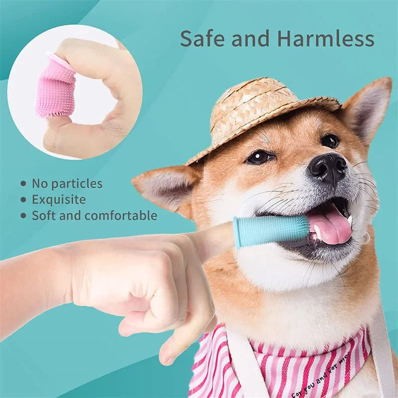 Dog finger brush