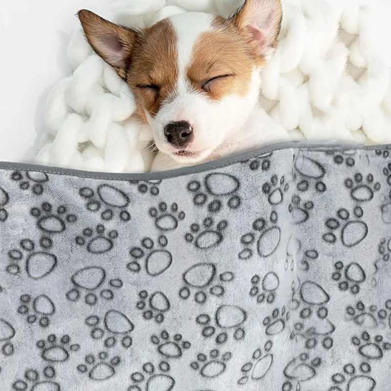 Pet Blanket