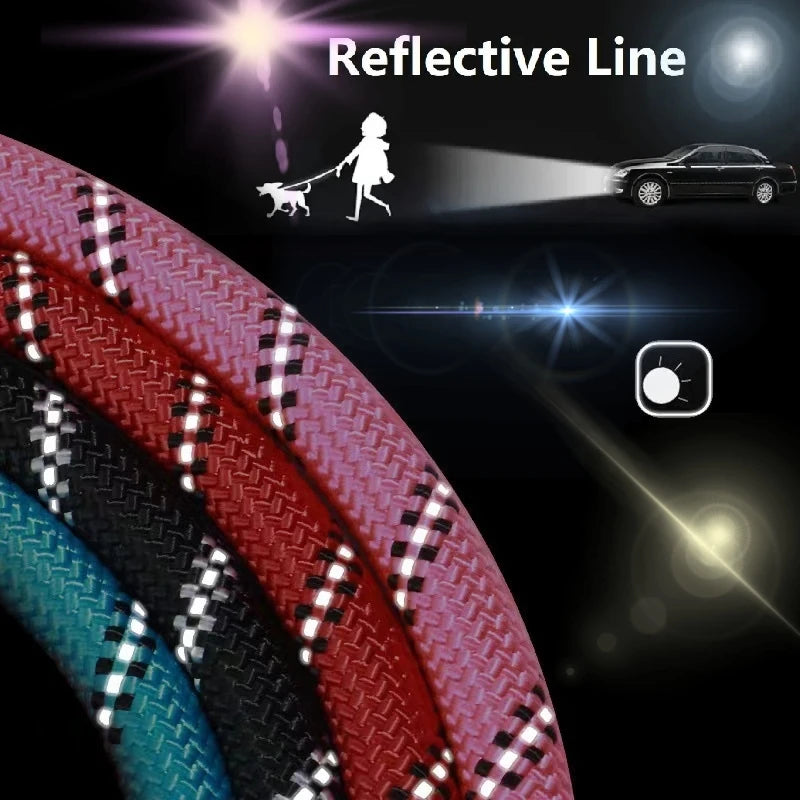 Dog Leash