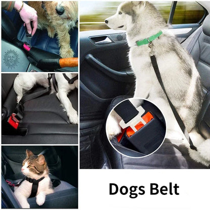 Adjustable Pet Belt