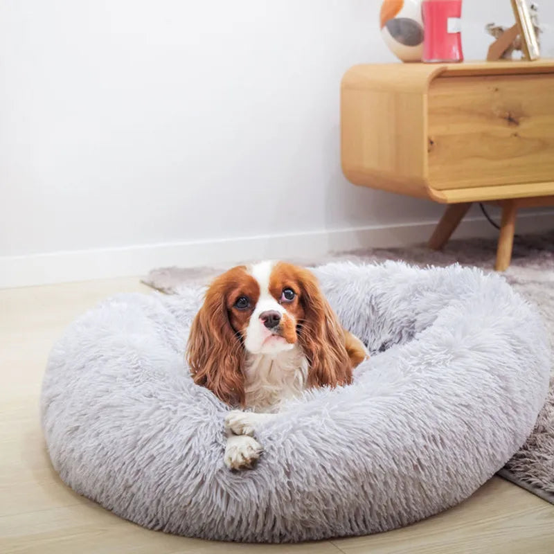 Soft Dog Bed