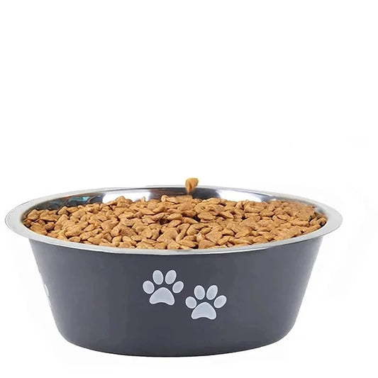 Dog Bowl