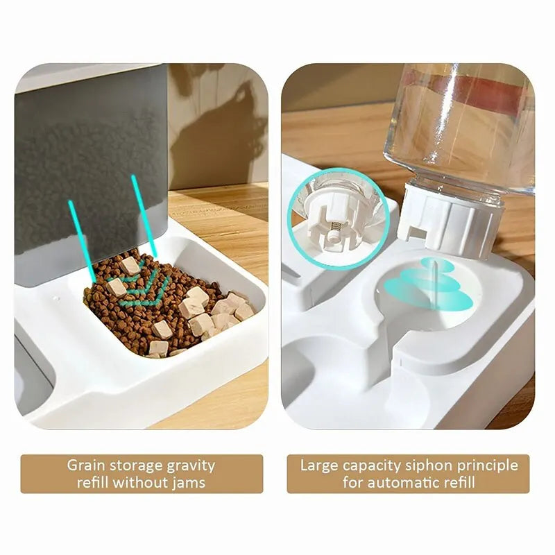 Pet food and water dispenser