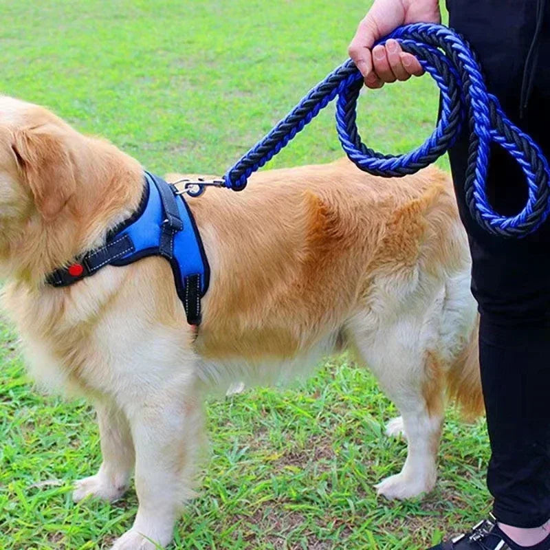 Nylon Dog Harness Leash