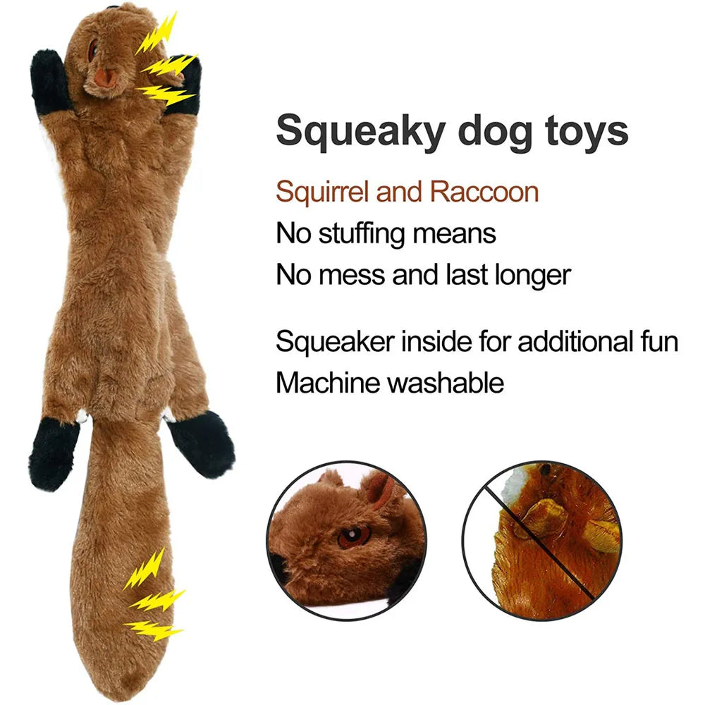 Dog Toy