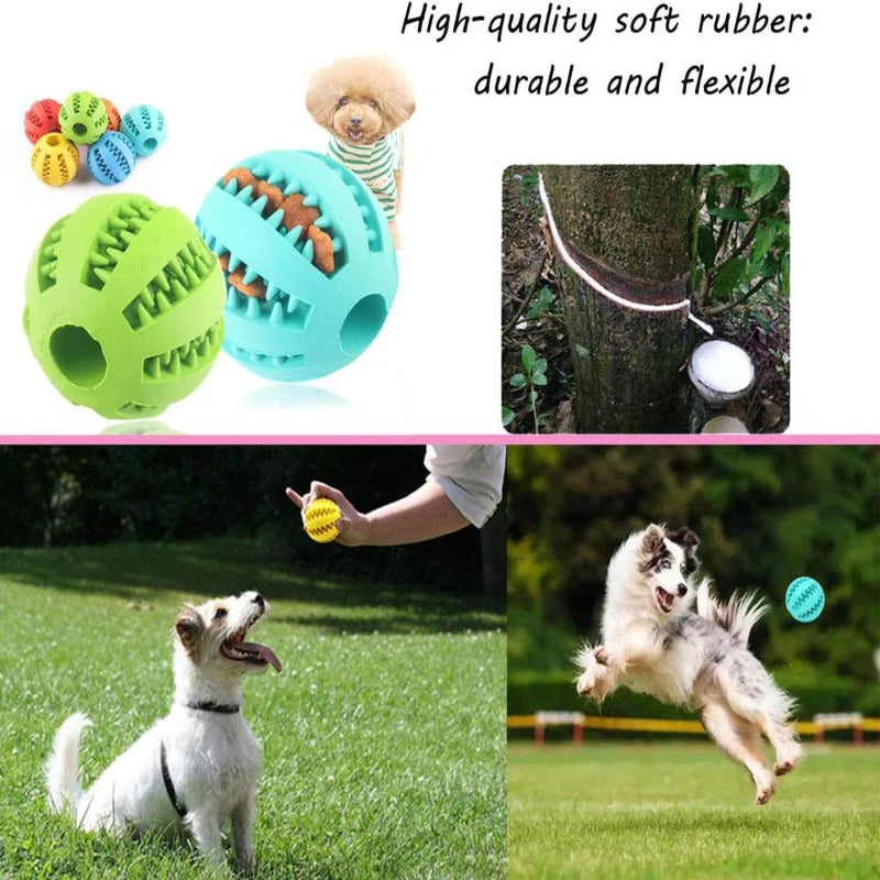 Dog Feeding Ball