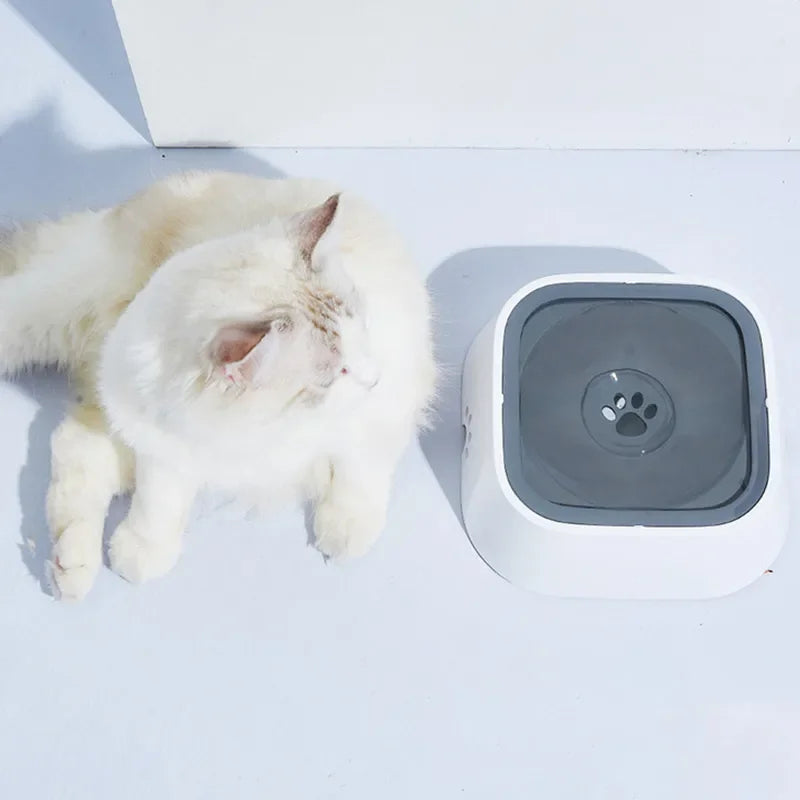 Pet Water Bowl