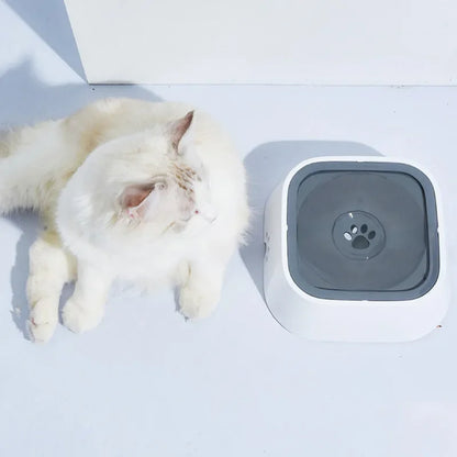 Pet Water Bowl