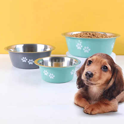 Dog Bowl